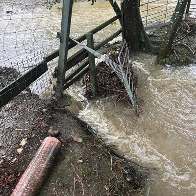 NOTFALL: Hochwasser in der PFOTENHILFE!