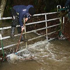 Hochwasser in der PFOTENHILFE