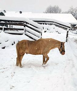 Meine Spende bei Schnee und Kälte