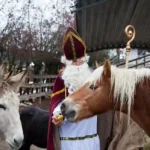 ADVENTPUNSCH am Tierschutzhof PFOTENHILFE