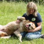 Auch ältere Tiere brauchen Liebe