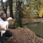 Tierschutzhof PFOTENHILFE rettet zwei Martinigänse