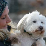 PFOTENHILFE zum Hundemörderurteil: Warum muss ein Mörder nicht ins Gefängnis?