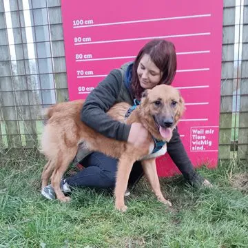 Adoption Gallery Image