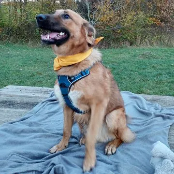 Adoption Gallery Image