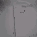 Extremer Wintereinbruch ist Katastrophe für Wildtiere