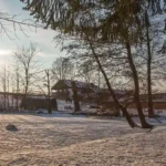 Februar 2018 am Tierschutzhof PFOTENHILFE