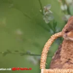 Osterglück für unsere Tiere