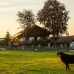 Gewinnspiel: Wer knipst das tierisch schönste Sommerfoto?