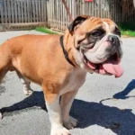 Helmut wurde kurz vor Abflug einfach zurückgelassen