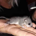 Hilfe in letzter Minute: