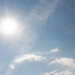 Hitzewelle: Auto als Todesfalle für Lebewesen