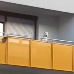 Hund Jimmy wurde dauerhaft auf Balkon gesperrt