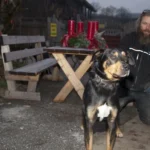 Wurde Hund über Grenze nach Österreich abgeschoben?