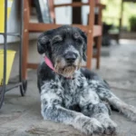 17 Jahre und kein bisschen leise