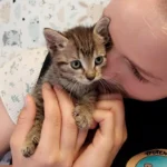 Katze nicht kastriert – Babys im Wald „entsorgt“