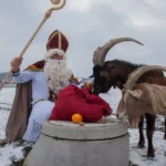 Nikolaus besucht Tierschutzhof PFOTENHILFE