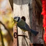 PFOTENHILFE-Frühlingsinitiative!