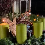 Das war der November 2020 in der PFOTENHILFE