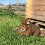 Das war der September in der PFOTENHILFE: