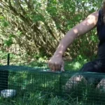 Juli 2019 am Tierschutzhof PFOTENHILFE