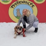 Weihnachts-Happy-End für vor Abflug zurückgelassenen Hund