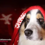 Weihnachtsaktion mit FAIE