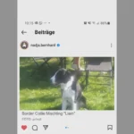 ZiB-Star Nadja Bernhard erhöht Hundemörder-Prämie um 1.000,- und sammelt auf Instagram