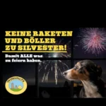Silvester tierfreundlich: Lachen statt Krachen