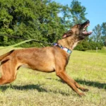 Ansfeldens Folterkeller-Opfer: Anklage und Prozesstermin stehen