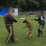 Video von brutaler Tierquälerei auf ÖKV-Hundeausbildungsplatz