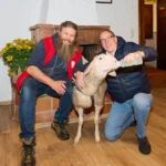 Tierschutzminister stimmt PFOTENHILFE-Forderung zu: Beißtraining soll verboten werden!