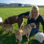 OÖ Hundehaltegesetz: Politik muss Notbremse ziehen!