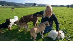 OÖ Hundehaltegesetz: Politik muss Notbremse ziehen!