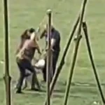 Skandalvideos von Hundeabrichtung in OÖ aufgetaucht