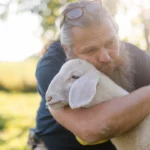 Tierschutzminister Rauch: „Rücksitz-Lamm“ darf bei PFOTENHILFE bleiben!