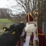 Nikolaus hat für gerettete Tiere Überraschungen im Sack