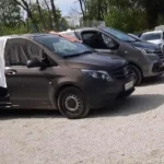 Qualvoll gestorbene Hunde: Anzeige an Staatsanwaltschaft