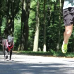 Joggen mit dem Vierbeiner