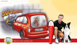 Hunde nie im Auto warten lassen!