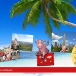 PFOTENHILFE Sommergewinnspiel