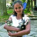 Wer Wasservögeln Gutes tun will, füttert sie nicht