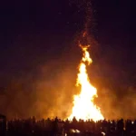 Sonnwendfeuer: Gefahr und Stress für Tiere