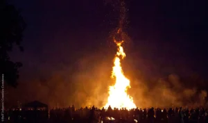 Sonnwendfeuer: Gefahr und Stress für Tiere