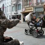 PFOTENHILFE lädt zum Katzen-Informations-Event am Taubenmarkt in Linz