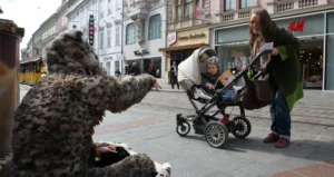 PFOTENHILFE lädt zum Katzen-Informations-Event am Taubenmarkt in Linz