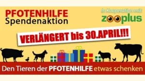 PFOTENHILFE informiert: