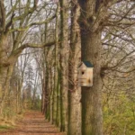 PFOTENHILFE informiert: