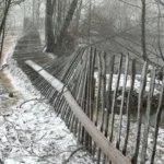 Schwere Orkanschäden bei der PFOTENHILFE Lochen