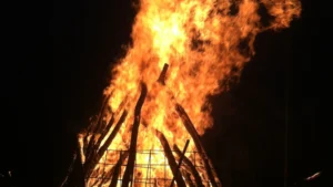 PFOTENHILFE warnt:
